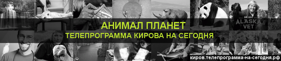 Телепрограмма на сегодня канала Анимал Планет, Киров